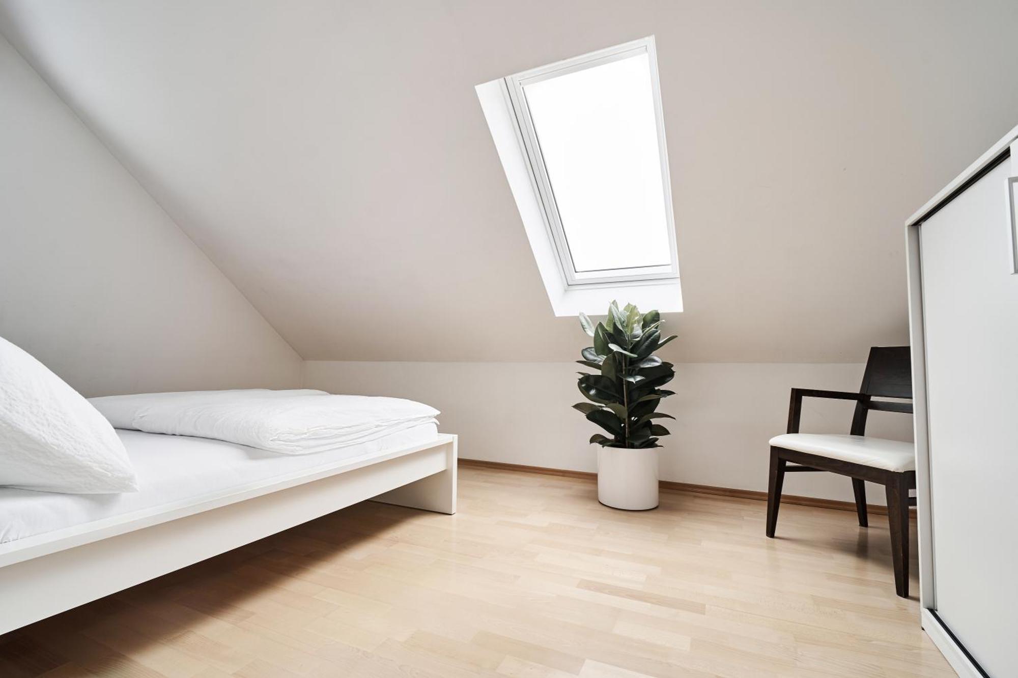 Matic Spacious Modern