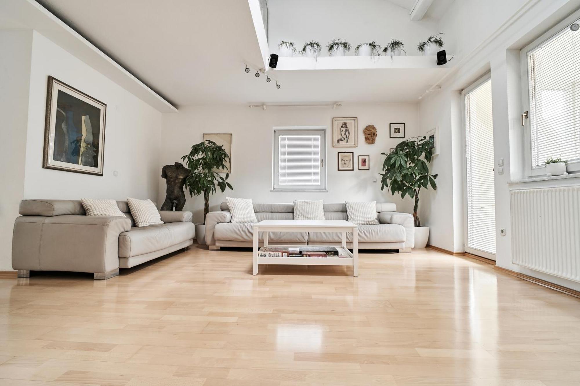 Matic Spacious Modern Lublaň